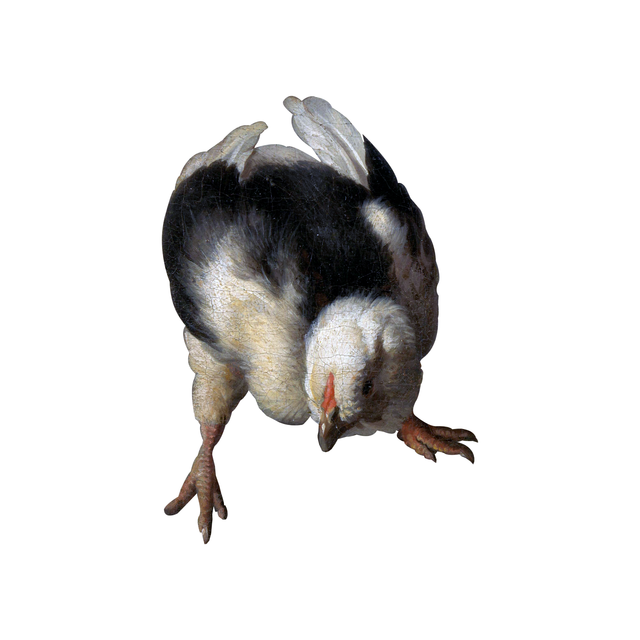 PNG Chicks by Melchior d'Hondecoeter Painter Set (FREE) - Post Digital Architecture — Free and Affordable Resources for Architects
