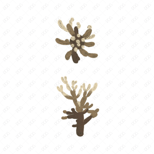 Vector & PNG Colorful Japanese Style Desert Plants (Topview + Sideview) - Post Digital Architecture — Free and Affordable Resources for Architects