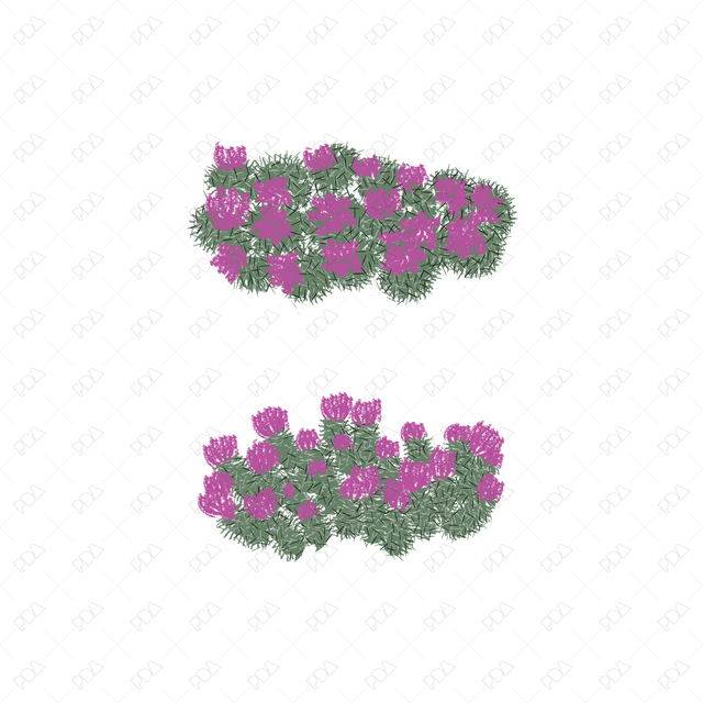 Vector & PNG Colorful Japanese Style Desert Plants (Topview + Sideview) - Post Digital Architecture — Free and Affordable Resources for Architects