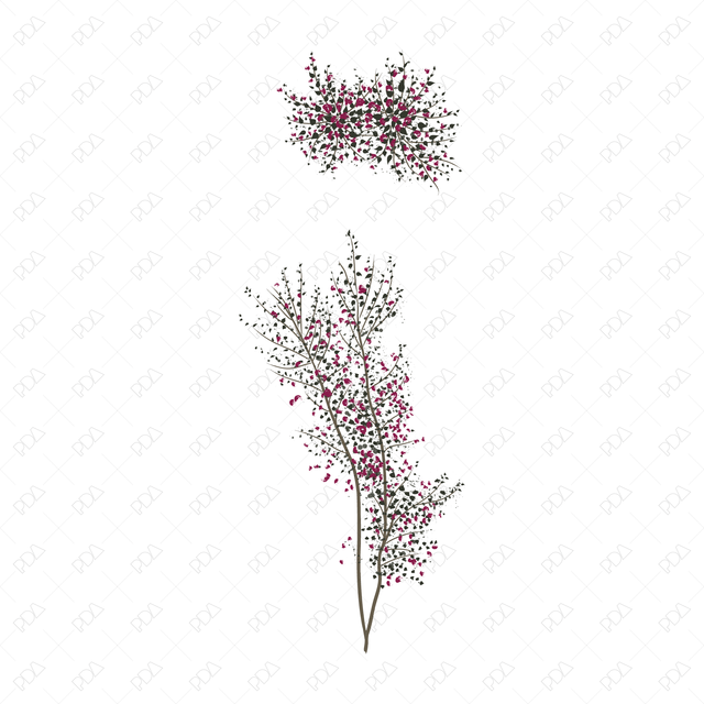 Vector & PNG Colorful Japanese Style Desert Plants (Topview + Sideview) - Post Digital Architecture — Free and Affordable Resources for Architects