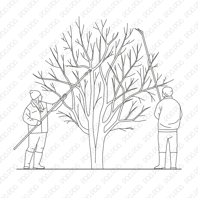 Gardening Multi - Pack (Front and side view) - Post Digital Architecture — Free and Affordable Resources for Architects