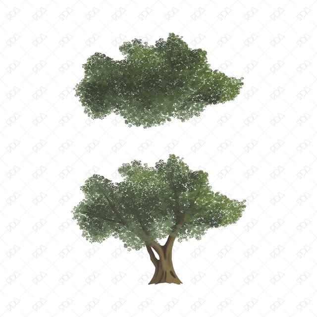 PNG Colorful Olive Trees (Topview + Sideview) - Post Digital Architecture — Free and Affordable Resources for Architects