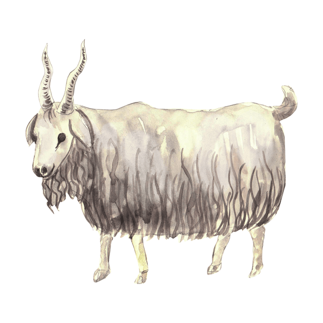 PNG Hand Drawn Animals Inspired by Niko Pirosmani - Post Digital Architecture — Free and Affordable Resources for Architects
