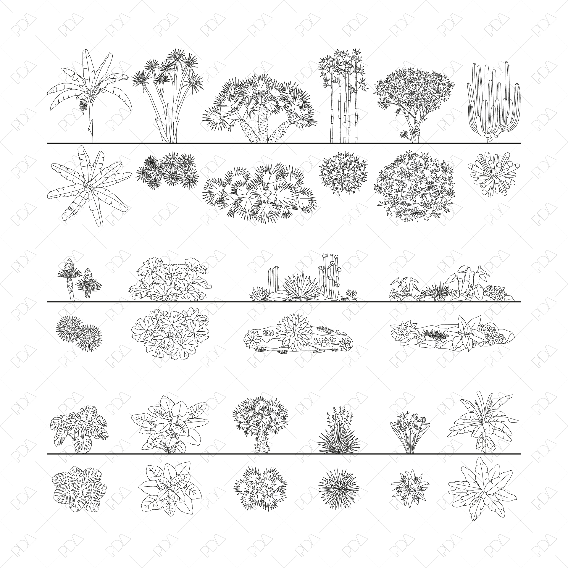 monstera deliciosa cad plan CAD, Vector Tropical Plants Set (Top + Side view)