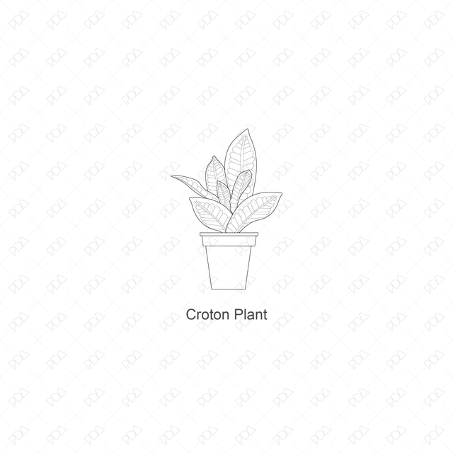 CAD, Vector Indoor Plants Set (Front view) - Post Digital Architecture — Free and Affordable Resources for Architects