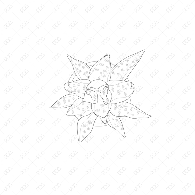 CAD and Vector Indoor Plants Set (Top view) - Post Digital Architecture — Free and Affordable Resources for Architects