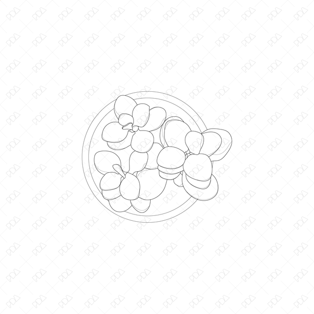 CAD and Vector Indoor Plants Set (Top view) - Post Digital Architecture — Free and Affordable Resources for Architects