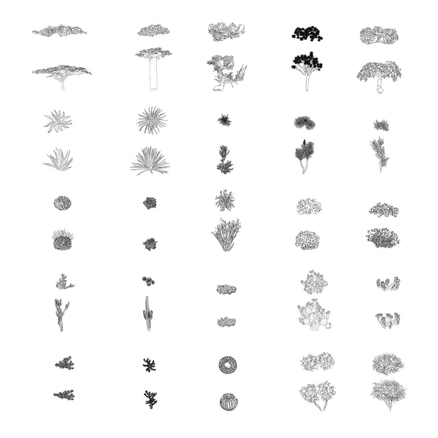 CAD and Vector Desert Plants Multi-Pack (Top + Side views) - Post Digital Architecture — Free and Affordable Resources for Architects