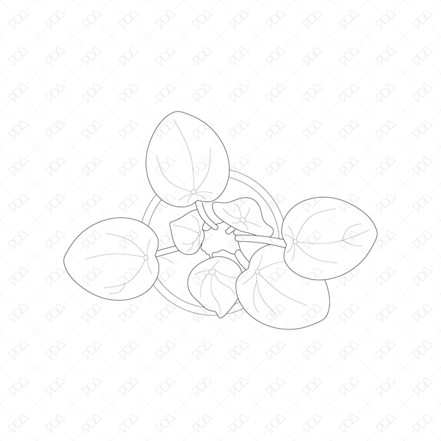 CAD and Vector Indoor Plants Set (Top view) - Post Digital Architecture — Free and Affordable Resources for Architects