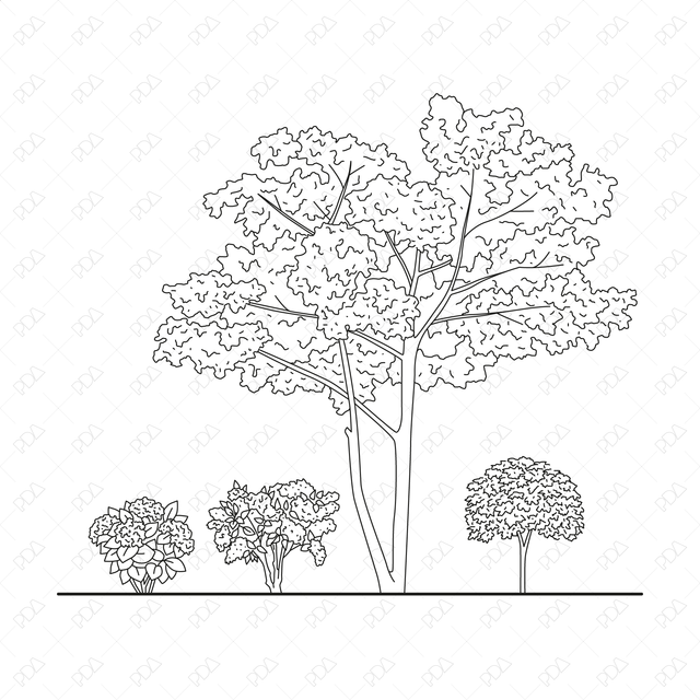 CAD and Vector European Trees and Plants Set (Top + Side view) - Post Digital Architecture — Free and Affordable Resources for Architects