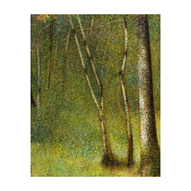 Forest and Woods Scenes Backgrounds Set (High Resolution) - Post Digital Architecture — Free and Affordable Resources for Architects