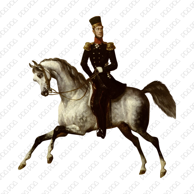 Artcutout Scenes - Animals and Farm: Rider on a Horse (PNG) - Post Digital Architecture — Free and Affordable Resources for Architects