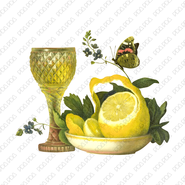 Artcutouts: Lemone and Lemone Drink (PNG) - Post Digital Architecture — Free and Affordable Resources for Architects