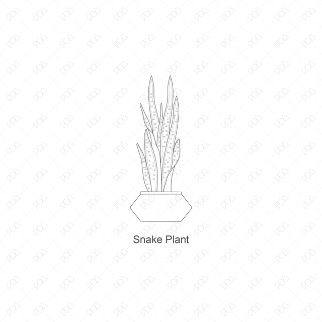 CAD, Vector Indoor Plants Set (Front view) - Post Digital Architecture — Free and Affordable Resources for Architects