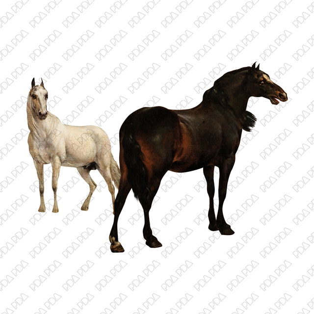 Artcutout Scenes - Animals and Farm: Two Horses (PNG) - Post Digital Architecture — Free and Affordable Resources for Architects