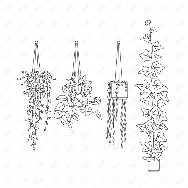 CAD and Vector Hanging Plants Set (Front + Side view) - Post Digital Architecture — Free and Affordable Resources for Architects
