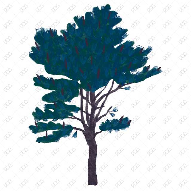 Hand Drawn Coniferous Trees - Post Digital Architecture — Free and Affordable Resources for Architects