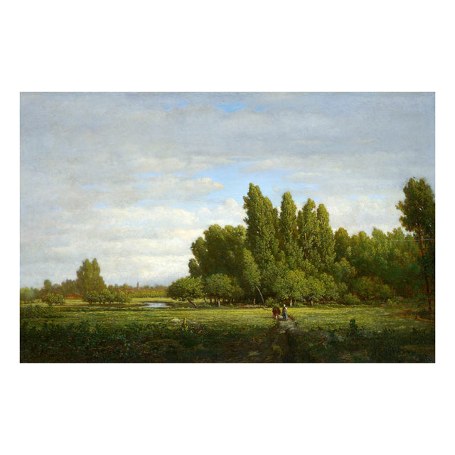 Forest and Woods Scenes Backgrounds Set (High Resolution) - Post Digital Architecture — Free and Affordable Resources for Architects