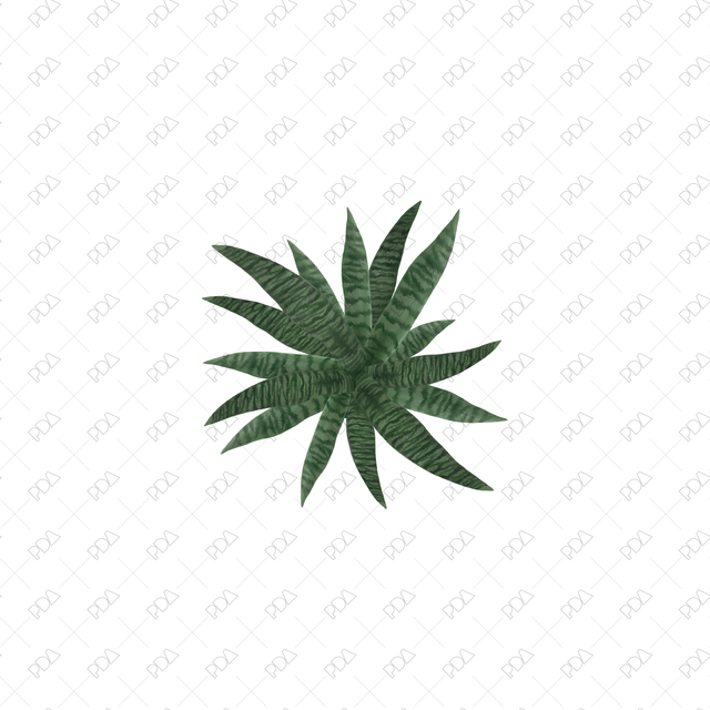 PNG Houseplants with Large Leaves in Top View - Post Digital Architecture — Free and Affordable Resources for Architects
