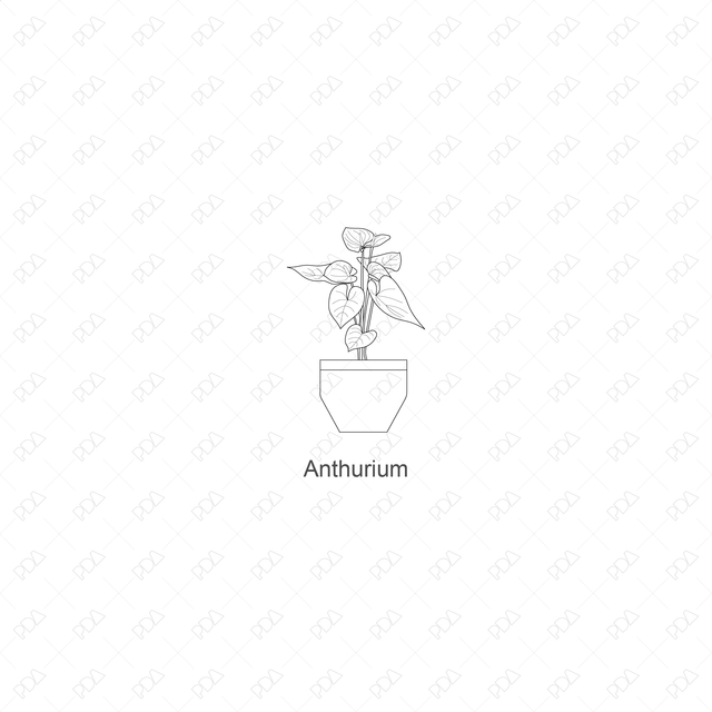 CAD, Vector Indoor Plants Set (Front view) - Post Digital Architecture — Free and Affordable Resources for Architects