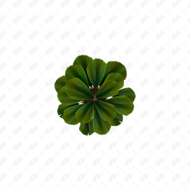 PNG Houseplants with Large Leaves in Top View - Post Digital Architecture — Free and Affordable Resources for Architects