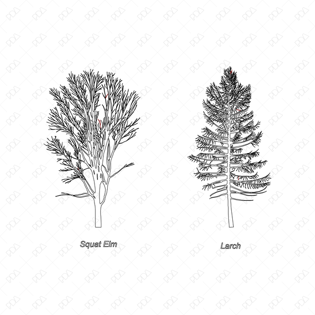 CAD & Vector Line Art Trees - Post Digital Architecture — Free and Affordable Resources for Architects