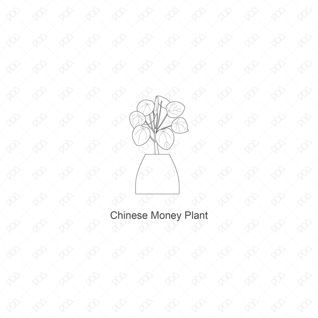 CAD, Vector Indoor Plants Set (Front view) - Post Digital Architecture — Free and Affordable Resources for Architects