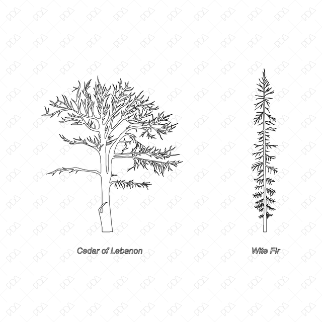 CAD & Vector Line Art Trees - Post Digital Architecture — Free and Affordable Resources for Architects