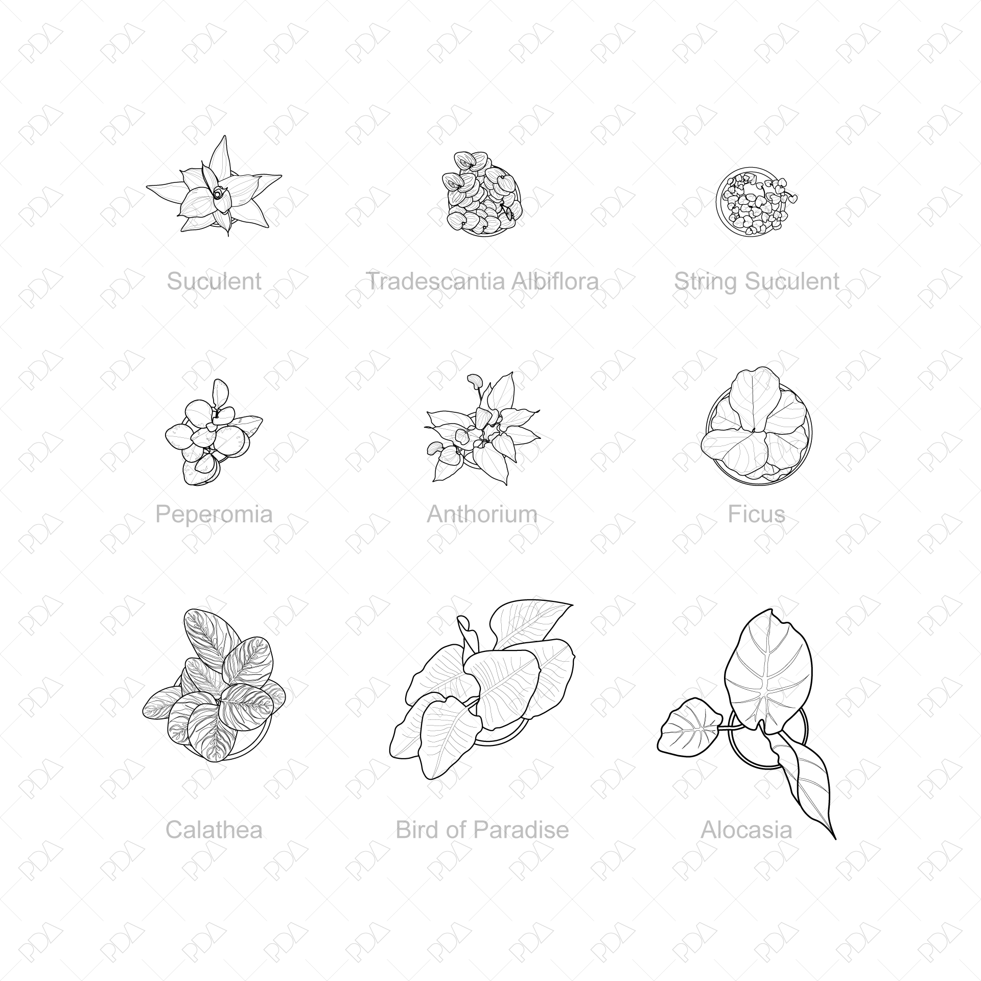indoor planter cad block Top View CAD & Vector Interior Plants Set Student License