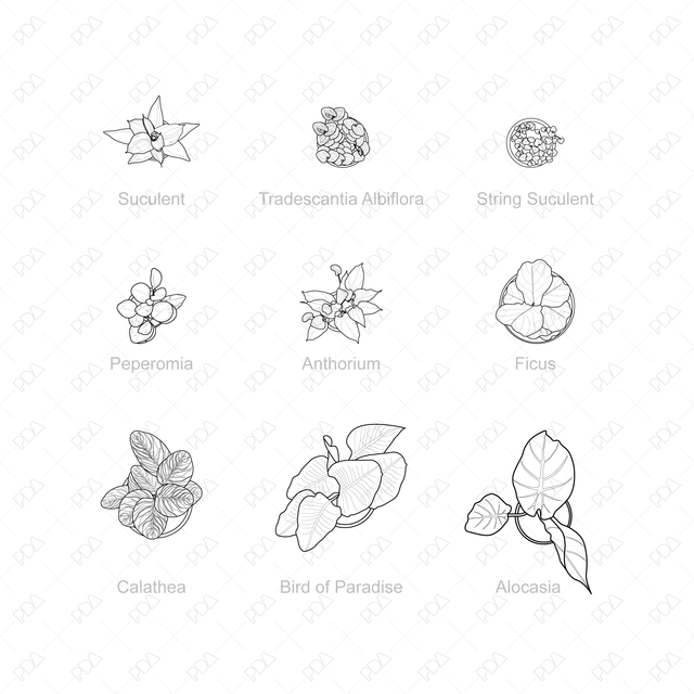 CAD and Vector Interior Plants Set (Top view) - Post Digital Architecture — Free and Affordable Resources for Architects