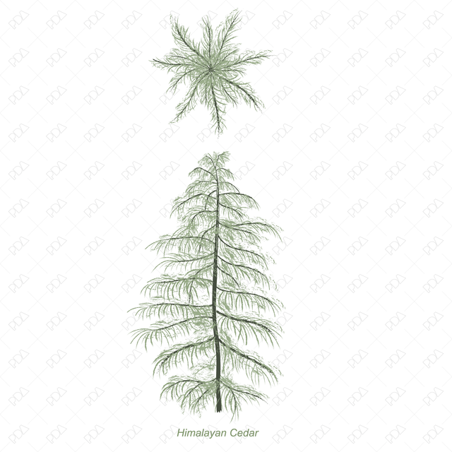 Vector and PNG Colorful Japanese Style Trees (Recommended) - Post Digital Architecture — Free and Affordable Resources for Architects