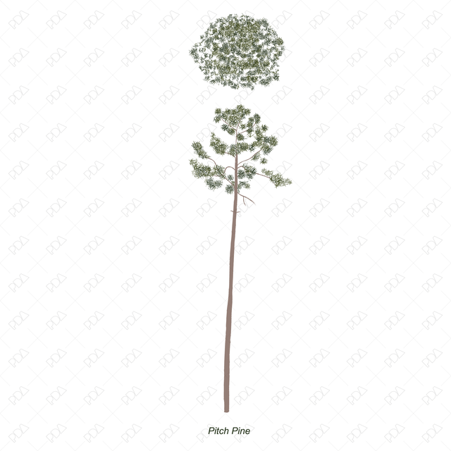 Vector and PNG Colorful Japanese Style Trees (Recommended) - Post Digital Architecture — Free and Affordable Resources for Architects