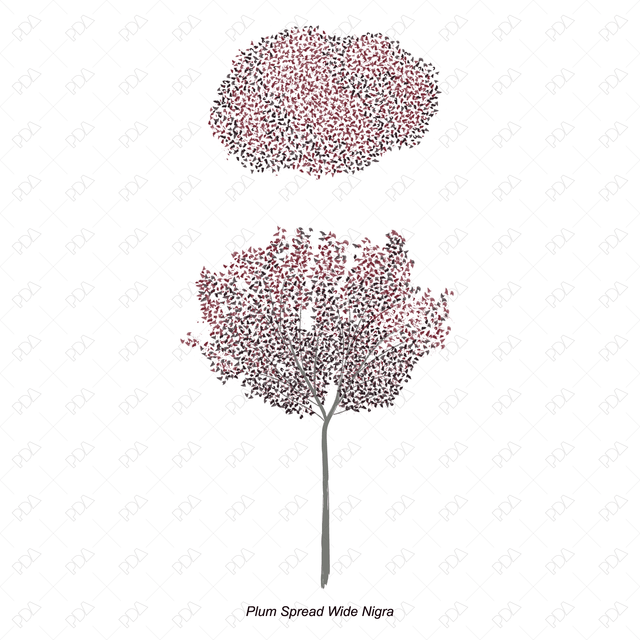Vector and PNG Colorful Japanese Style Trees (Recommended) - Post Digital Architecture — Free and Affordable Resources for Architects