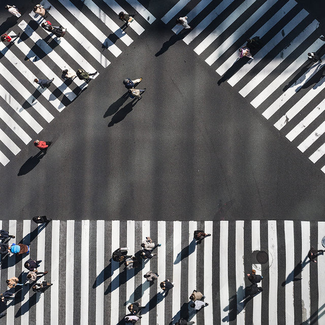 16 Important Books for Landscape Architects