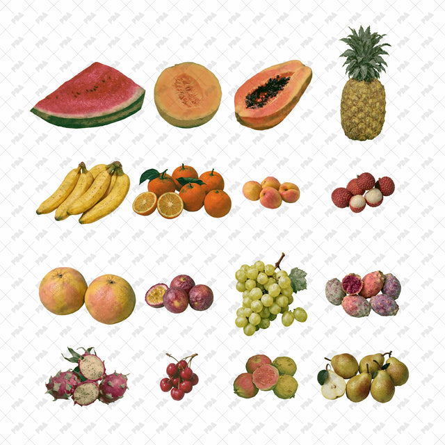 PNG Post Digital Collage Fruit Cutouts - Post Digital Architecture — Free and Affordable Resources for Architects