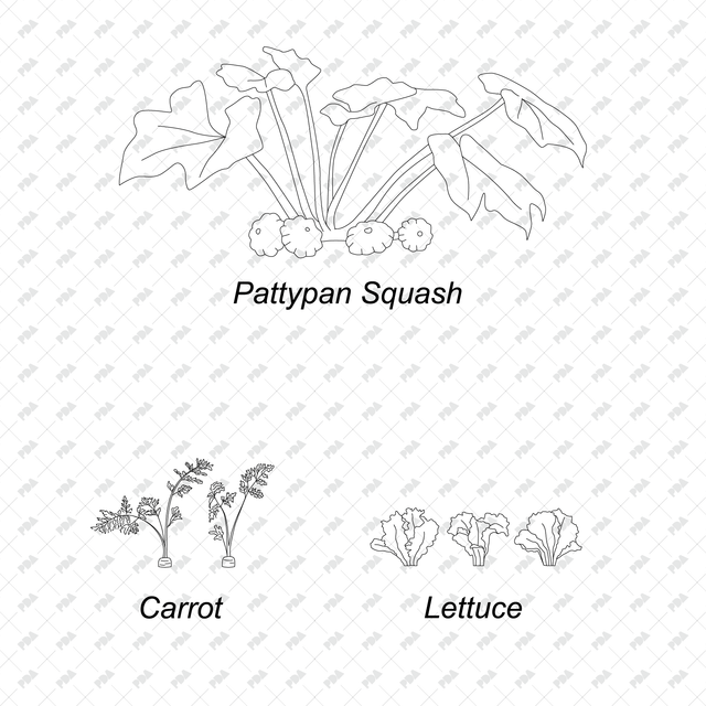 CAD & Vector Vegetable Plants Multi-Pack - Post Digital Architecture — Free and Affordable Resources for Architects