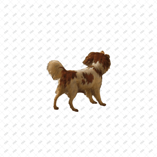 صور كرتونية للكلاب والقطط - العمارة الرقمية الحديثة - موارد مجانية وبأسعار معقولة للمهندسين المعماريين