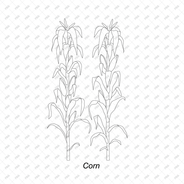 CAD & Vector Vegetable Plants Multi-Pack - Post Digital Architecture — Free and Affordable Resources for Architects
