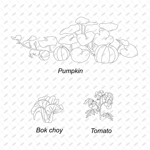 CAD & Vector Vegetable Plants Multi-Pack - Post Digital Architecture — Free and Affordable Resources for Architects