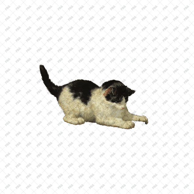 صور كرتونية للكلاب والقطط - العمارة الرقمية الحديثة - موارد مجانية وبأسعار معقولة للمهندسين المعماريين