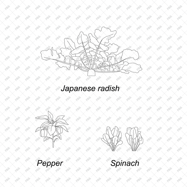 CAD & Vector Vegetable Plants Multi-Pack - Post Digital Architecture — Free and Affordable Resources for Architects