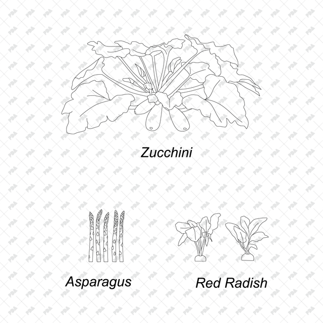 CAD & Vector Vegetable Plants Multi-Pack - Post Digital Architecture — Free and Affordable Resources for Architects