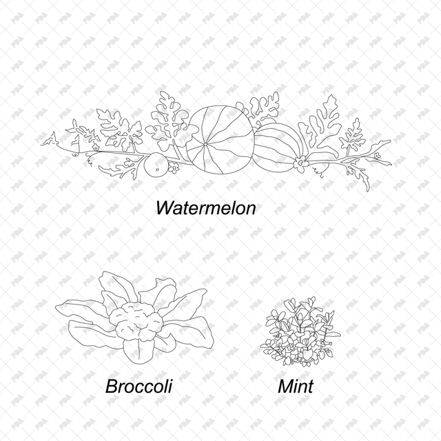 CAD & Vector Vegetable Plants Multi-Pack - Post Digital Architecture — Free and Affordable Resources for Architects