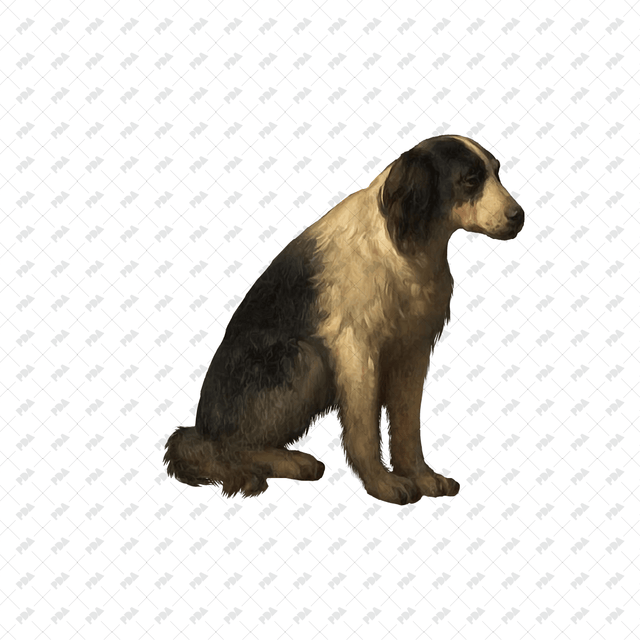 صور كرتونية للكلاب والقطط - العمارة الرقمية الحديثة - موارد مجانية وبأسعار معقولة للمهندسين المعماريين