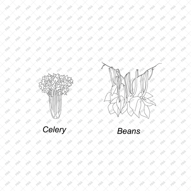 CAD & Vector Vegetable Plants Multi-Pack - Post Digital Architecture — Free and Affordable Resources for Architects