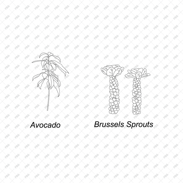 CAD & Vector Vegetable Plants Multi-Pack - Post Digital Architecture — Free and Affordable Resources for Architects