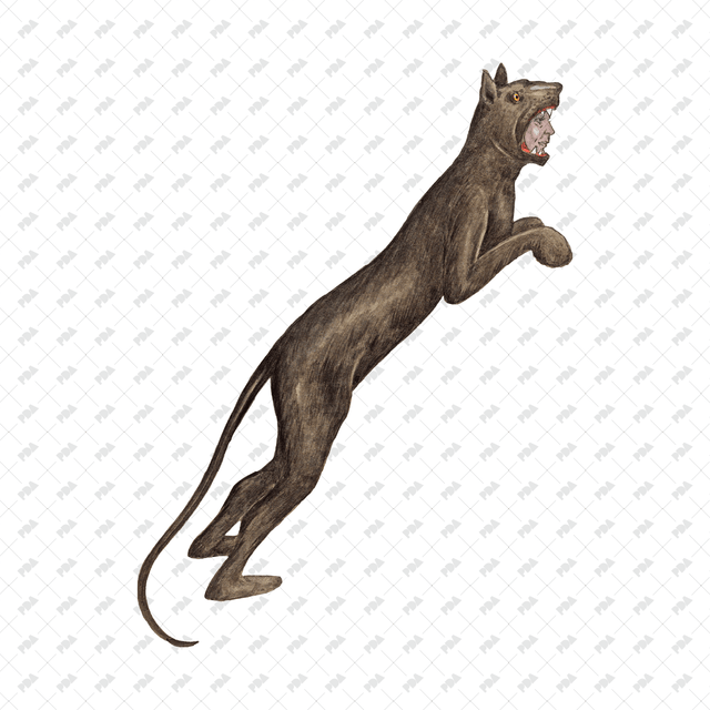 PNG Magical Characters - Post Digital Architecture — Free and Affordable Resources for Architects