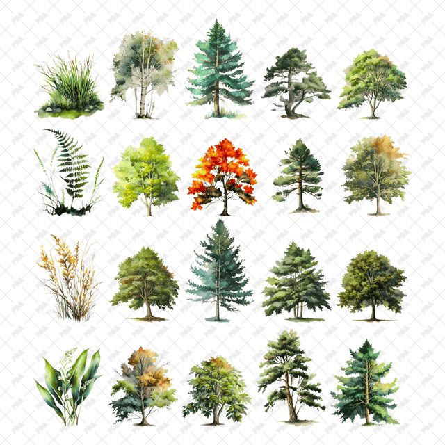 PNG Watercolor Trees and Plants Set (Front view)