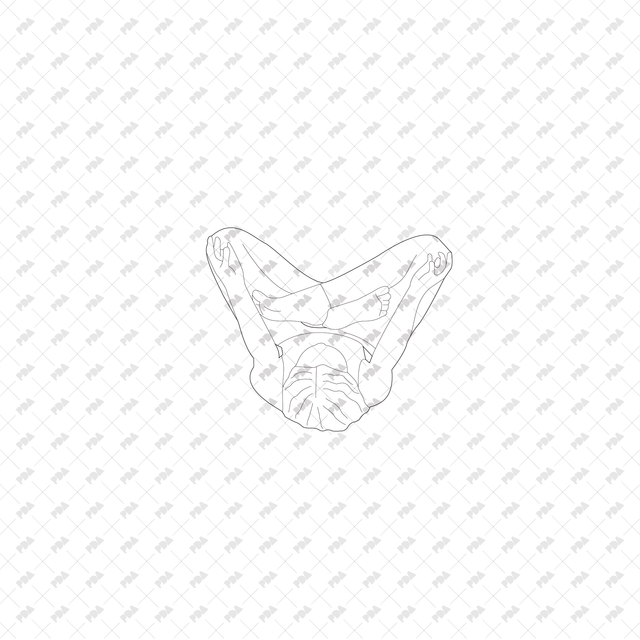 CAD, Vector, PNG People Meditating in Top View - Post Digital Architecture — Free and Affordable Resources for Architects