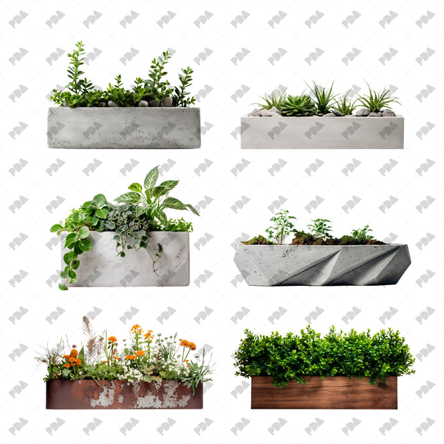 PNG Street Urban Plants in Planters